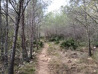 IMG_20250207_145131899