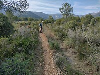 IMG_20250207_145617963_HDR