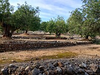 IMG_20250207_151029833_HDR