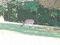 IMG_20250903_155602196