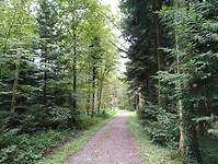 IMG_20250904_130307619