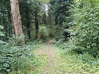 IMG_20250904_131623293
