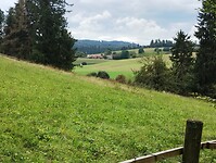 IMG_20250904_134029975