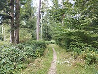 IMG_20250904_140646058