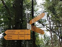 IMG_20250904_141154444