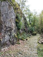 IMG_20250910_135029580