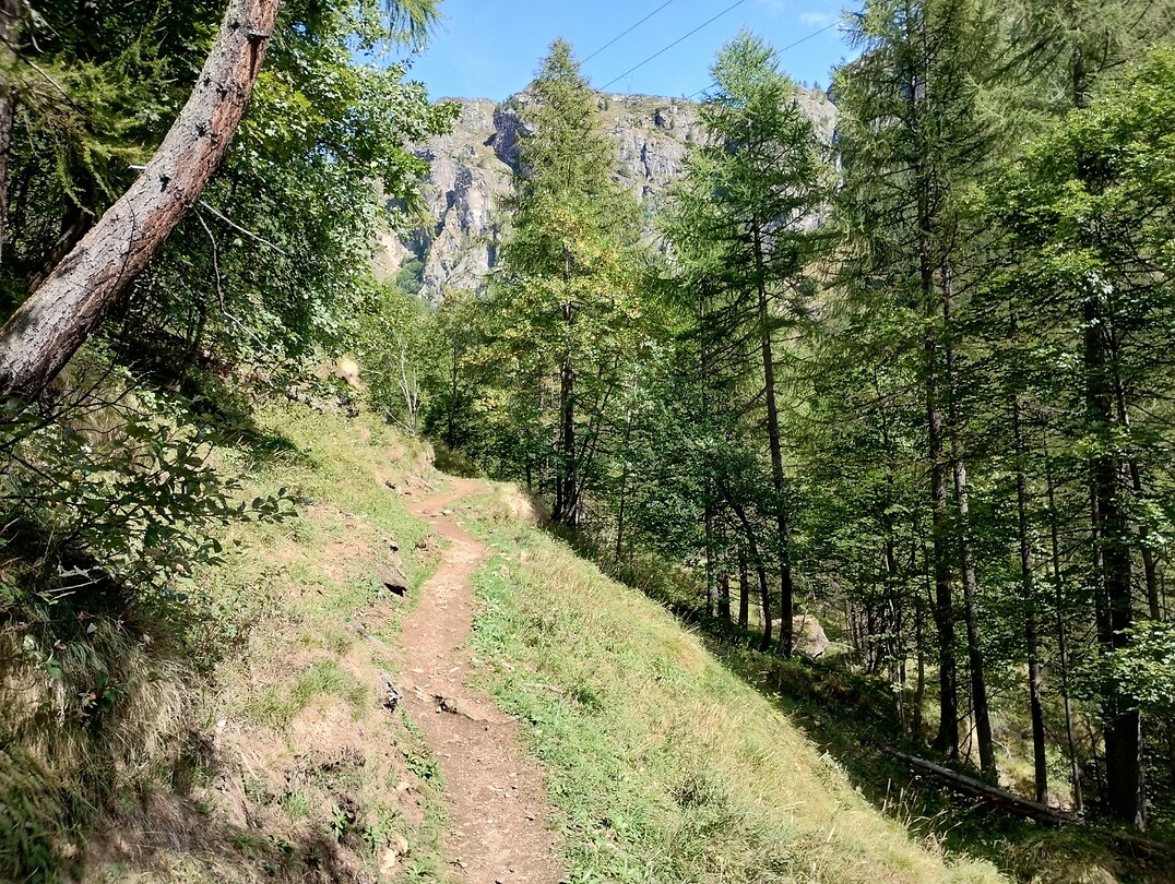 IMG_20250912_121113840_HDR
