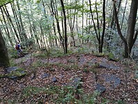 IMG_20250915_133551619
