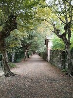 IMG_20250918_103440620