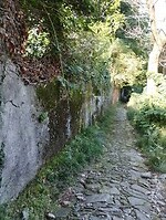 IMG_20250918_115436800