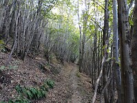 IMG_20250919_103834548