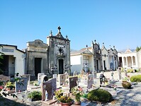 IMG_20250919_110213505