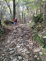 IMG_20250919_111325198
