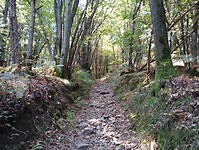 IMG_20250919_112615110