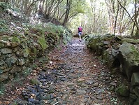 IMG_20250919_125216630