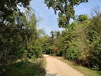 IMG_20250921_131646595_HDR