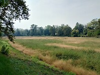 IMG_20250921_132437678_HDR