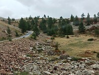 IMG_20250921_165157319