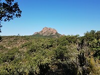 IMG_20250924_104234259
