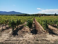 IMG_20250924_115920491