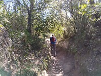 IMG_20250924_121604296