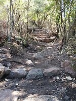 IMG_20250924_124940762