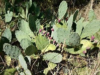 IMG_20250924_141824994_HDR