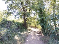 IMG_20250925_111508049