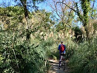 IMG_20250925_112816441_HDR