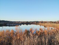 IMG_20251229_163148313
