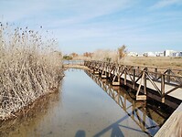 IMG_20260101_131659288