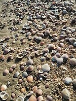 IMG_20260101_133149928