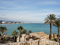 IMG_20260101_141128046