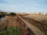 IMG_20260101_150310297