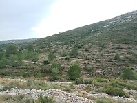 IMG_20260102_132613587