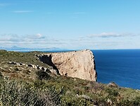 IMG_20260109_114052037