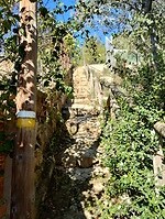IMG_20260111_113007021_HDR