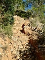 IMG_20260111_113222605_HDR