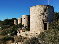 IMG_20260111_115713041