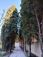 IMG_20260111_121523020_HDR
