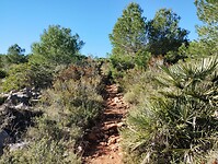 IMG_20260111_123240242