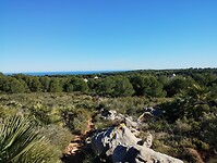 IMG_20260111_123417057