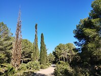 IMG_20260111_123638376