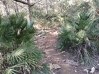 IMG_20260111_123932662