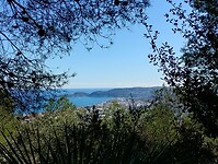 IMG_20260111_125842413_HDR