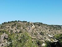 IMG_20260111_134332826