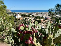 IMG_20260111_134742652_HDR
