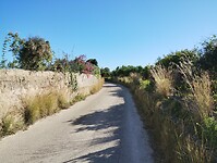 IMG_20260111_142410313