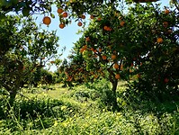 IMG_20260111_142521731_HDR