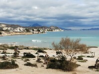 IMG_20260120_142237552
